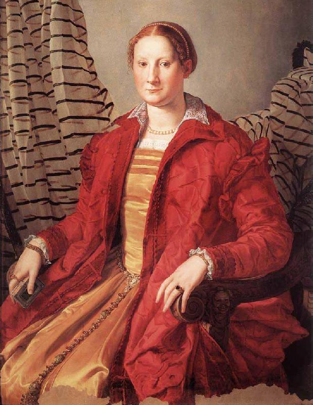 BRONZINO, Agnolo Portrait of a Lady dfg